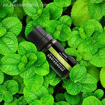 Aceite esencial de menta orgánico natural puro al 100%.